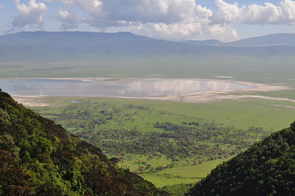 Cratère du Ngorongoro - Parc Naturel