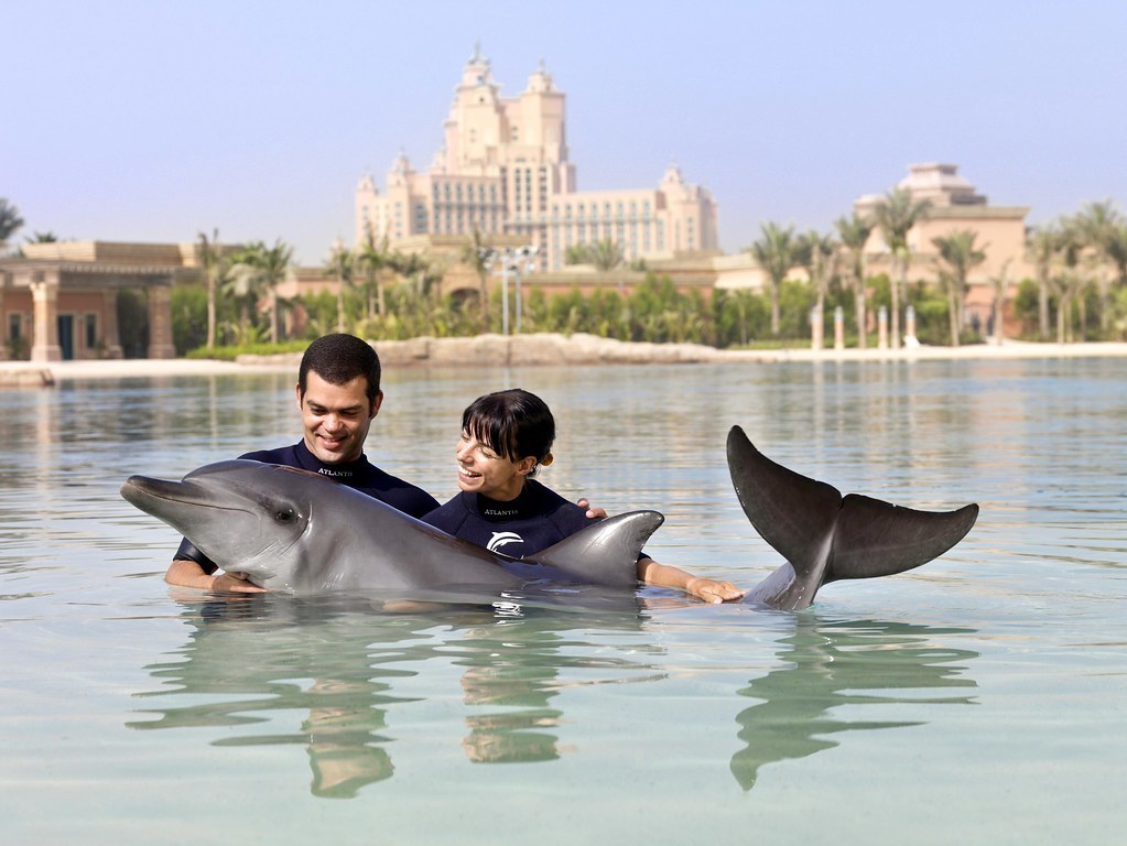 Nagez avec les dauphins - Blue Lagoon
